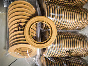 Polyimide Lipafdichting PTFE Lipafdichting Veer-geactiveerde Afdichting voor Rubberen Oliekeerring van Centrifugepomp met Hoge Efficiëntie