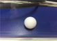 De witte Plastiek Gevormde van Delenteflon/Ptfe Stevige Plastic Ballen kleurden Aangepast