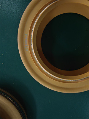 Polyimide Lipafdichting PTFE Lipafdichting Veer-geactiveerde Afdichting voor Rubberen Oliekeerring van Centrifugepomp met Hoge Efficiëntie